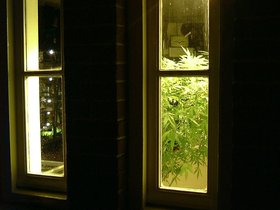 ../2000/05/20-amsterdam-NLD-pot-lamp.jpg