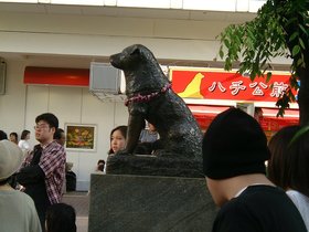 ../2001/05/06-1619-hachiko-shibuya-JPN-street-tokyo.jpg