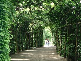 ../2001/05/26-1200-sanssouci-DEU-berlin_1.jpg