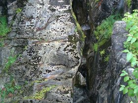 ../2001/08/12-road_trip-land-bridge.jpg
