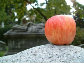 ../2002/10/27-mt_auburn-MA-apple-cemetery.jpg