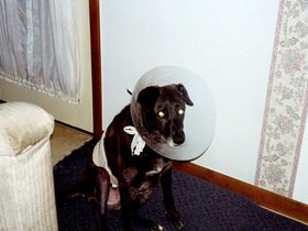 ../2003/08-family/texas-post-op.jpg