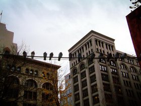 2003