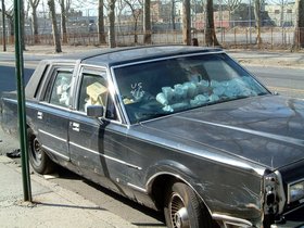 11-cup-brooklyn-NY-car.jpg