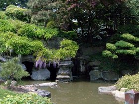 13-brooklyn_botanical-japanese_garden-garden.jpg