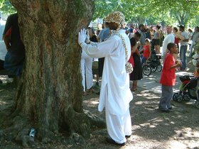 17-brooklyn-NY-prospect_park-park-drummers-grove-tree-shaman.jpg