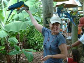 ../2004/08/03-miami-FL-parrot-dot-mom.jpg