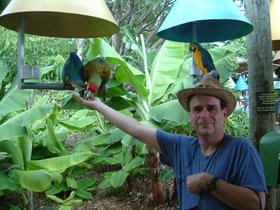 ../2004/08/03-miami-FL-parrot-joe-dad.jpg