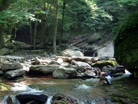 19-NYC-NY-ny-catskills-nora-wash.jpg