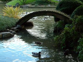 16-brooklyn_botanical-garden-pond.jpg