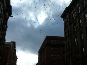 ../2006/02/05-chinatown-confetti.jpg