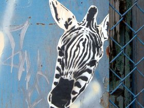 ../2006/05/27-brooklyn-NY-stencil-zebra.jpg