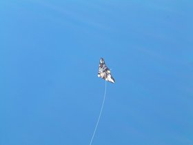 ../2007/06/23-brooklyn-NY-mermaid_parade-parade-kite.jpg