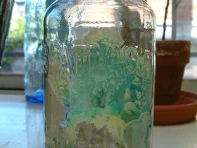 23-kitchen-crystal-plant.jpg