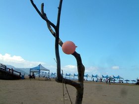 ../2007/08/06-1505-by_nora-beach-tree-buoy-bynora.jpg