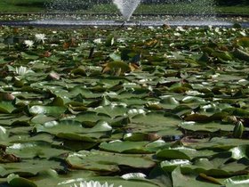 ../2007/09/02-1526-greenwood_cemetery-cemetery-lotus-fountain.jpg