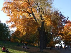 ../2007/10/21-1601-montreal-CAN-mount_royal.jpg