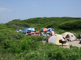 21-1252-fire_island-NY-camping-campsite.jpg