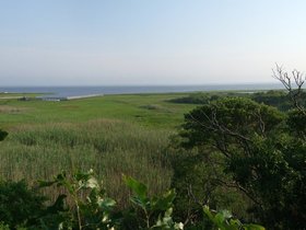 22-0549-fire_island-NY-bay-pano.jpg