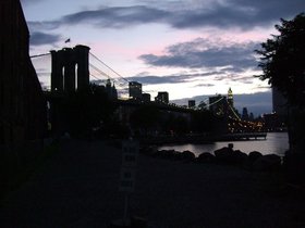 dumbo (25)