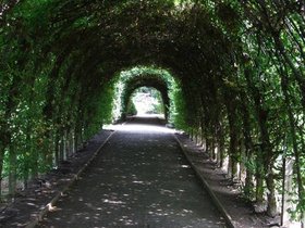 07-1400-si-snug_harbor-tunnel.jpg