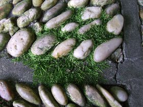 07-1453-staten_island-NY-si-snug_harbor-scholars-garden-rocks-moss.jpg