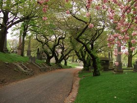 17-1001-greenwood_cemetery-cemetery-path.jpg
