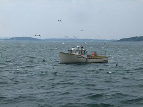 ../2010/09/25-1035-georges-MA-island-spectacles-fisherman-boat-fishing.jpg