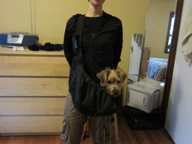 07-1302-casper-nora-dog-sling.jpg