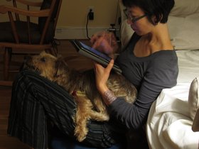 12-2052-cambridge-MA-dog-nora-casper.jpg