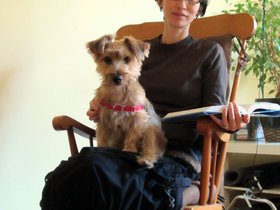 17-0956-cambridge-MA-dog-nora-casper.jpg