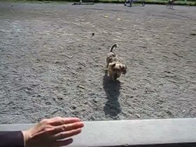 17-slomo-casper-jump-bench.mp4