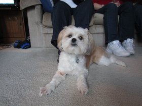 25-1816-baltimore-MD-coco.jpg