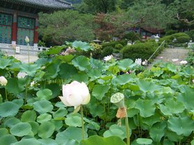 ../2012/08/06-1200-KOR-bongwonsa-seoul.jpg
