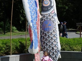 26-1855-seattle-WA-japanese_garden-garden.jpg