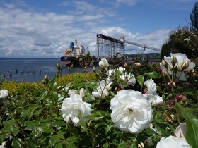 27-1622-edwards_park-seattle-WA-park.jpg