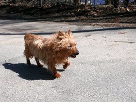 ../2015/04/11-1514-fresh_pond-MA-maggie.jpg
