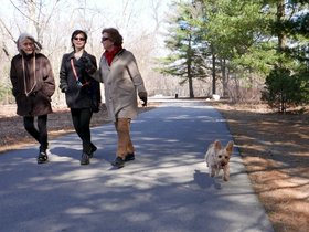 ../2015/04/11-1516-mireille-fresh_pond-MA-casper-monika-nora-dog.jpg