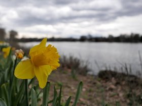 ../2015/04/26-1328-charles_river-MA.jpg