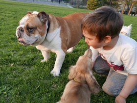 ../2015/05/04-1906-dog-kid-alvar.jpg