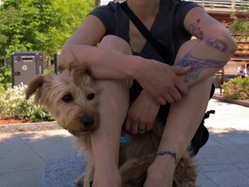 ../2015/05/24-1416-casper-nora-dog.jpg