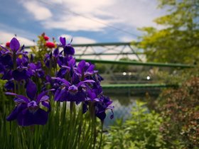 ../2015/06/05-1014-shelburne-MA.jpg