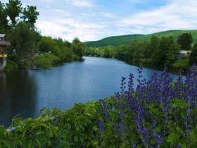 ../2015/06/05-1023-shelburne-MA.jpg