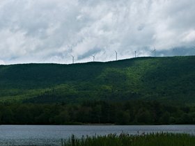 ../2015/06/06-0819-plant-mauserts_pond-MA.jpg