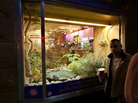 ../2015/06/07-1813-central_sq-MA-street-night.jpg