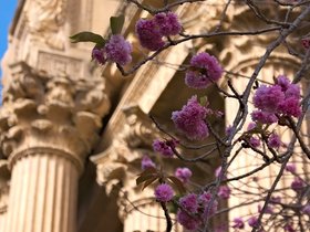 ../2015/06/17-1628-art-palace-san_francisco-CA.jpg