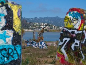 ../2015/06/22-1619-oakland-CA-art-albany_bulb.jpg
