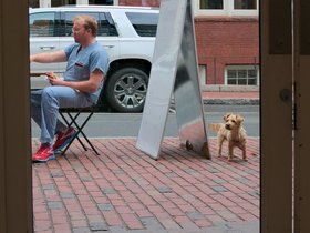 ../2015/07/18-1317-dog-clover-casper-street.jpg