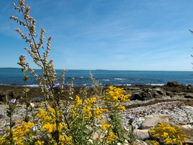 05-1256-ME-peaks_island.jpg