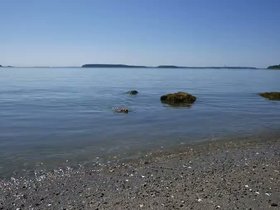 06-1232-casper-swimming-wolfes_neck-park-ME.mp4